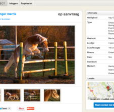 Geïnspireerd op wetenschappelijk onderzoek en de vele commercials van talloze datingsites, kwamen Mieke Theunissen en Bas Broeder met een geniaal initiatief: een marktplaats waar ruiters en paarden elkaar vinden op basis van een uitgebreide karakteranalyse. In samenwerking met Elastique ontwierp Slik de website en realiseerde de marktplaats met uitgebreide functionaliteiten.