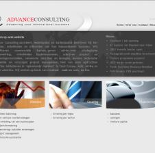 Advance Consulting is opgericht in 1999 om aan de groeiende vraag tegemoet te komen van commerciële bedrijven naar resultaatgerichte consultants die hen kunnen assisteren in het ontwikkelen van hun bedrijfsactiviteiten in het buitenland.