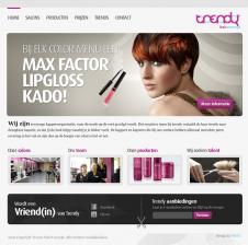 Trendy Hairconcept is een jonge kappersorganisatie waar de mode op de voet gevolgd wordt. Het creatieve team bij trendy vertaald de haar trends naar draagbare kapsels, zodat jij de look krijgt waarbij je je lekker voelt.